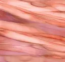 Living Coral