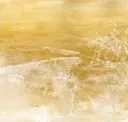 Metallic Gold
