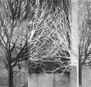 X-Ray