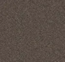 Bark