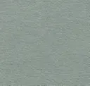 Icy