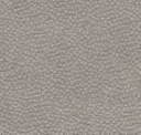 Pebble