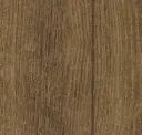 Ancient Oak