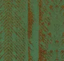 Spruce