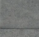 Asb07
