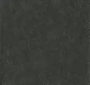 Bst036