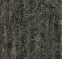 Czn2053