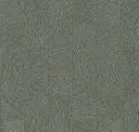 Cos019