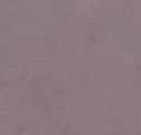 Kot03