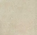 Sor006