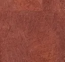 Sor013