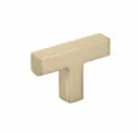 Satin Brass