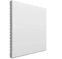 Arctic White