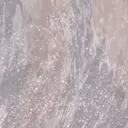 Desert Stream
