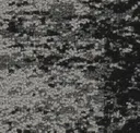 950
