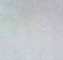 Papyrus