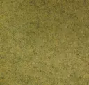 Hemp