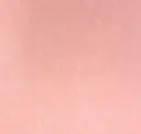 Bubblegum
