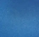 Bluejay