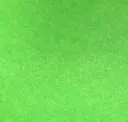 Shamrock