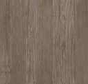 Brown Chestnut