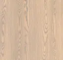 Ash Light Gray