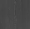 Ash True Black