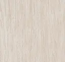 Birch Wood