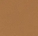 Palomino