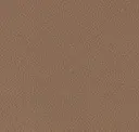 Sorrel