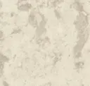 Oyster