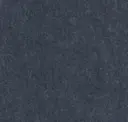 365 Navy