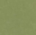579 Pistachio