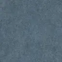 Arctic