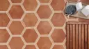 Terracotta Dark