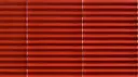 Ruby Red