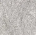 Driftwood