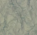 Eucalyptus