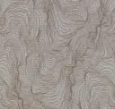 Sycamore