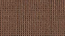 Black On Chestnut