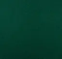 155 Forest Green