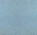 261 Sky Blue