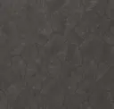 Charcoal Black