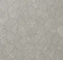 Silver Gray