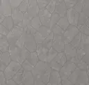 Slate Gray