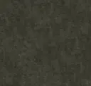 Carbon
