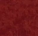 Vin