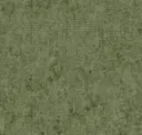Camouflage