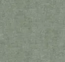 Griffin