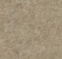 Funghi